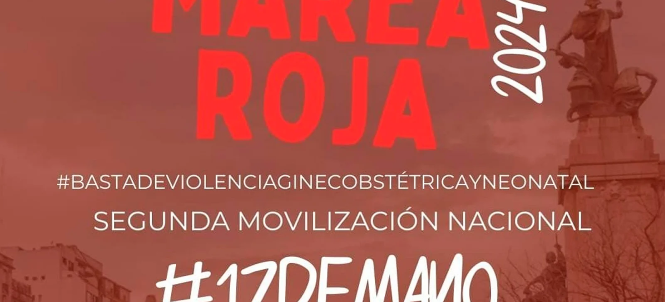 Marea Roja: 2da movilización nacional contra la violencia ginecobstétrica