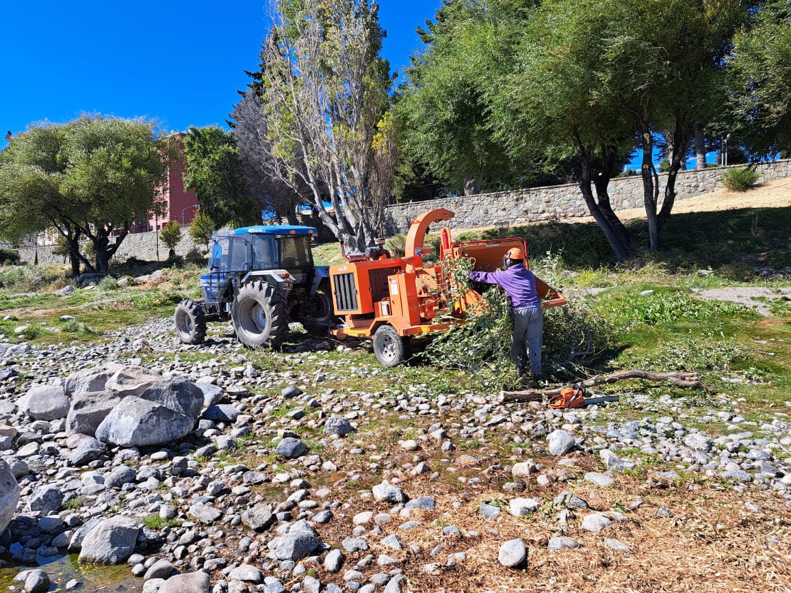 Municipio de Bariloche está limpiando la costa céntrica del lago Nahuel Huapi