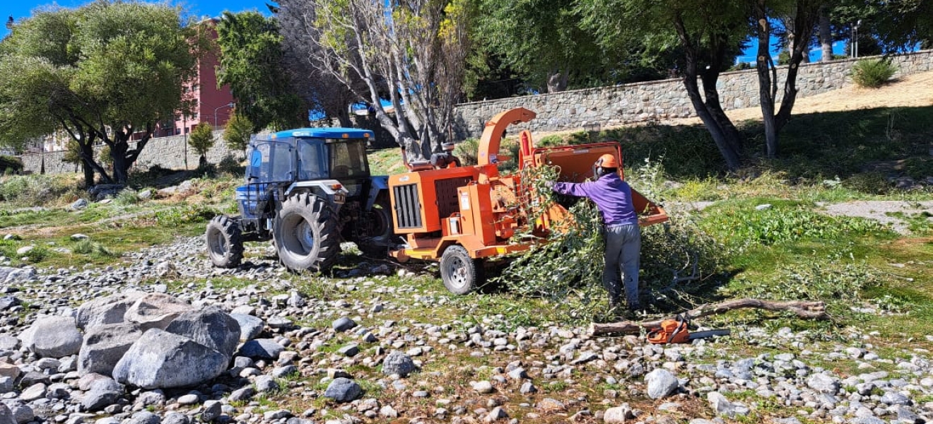 Municipio de Bariloche está limpiando la costa céntrica del lago Nahuel Huapi