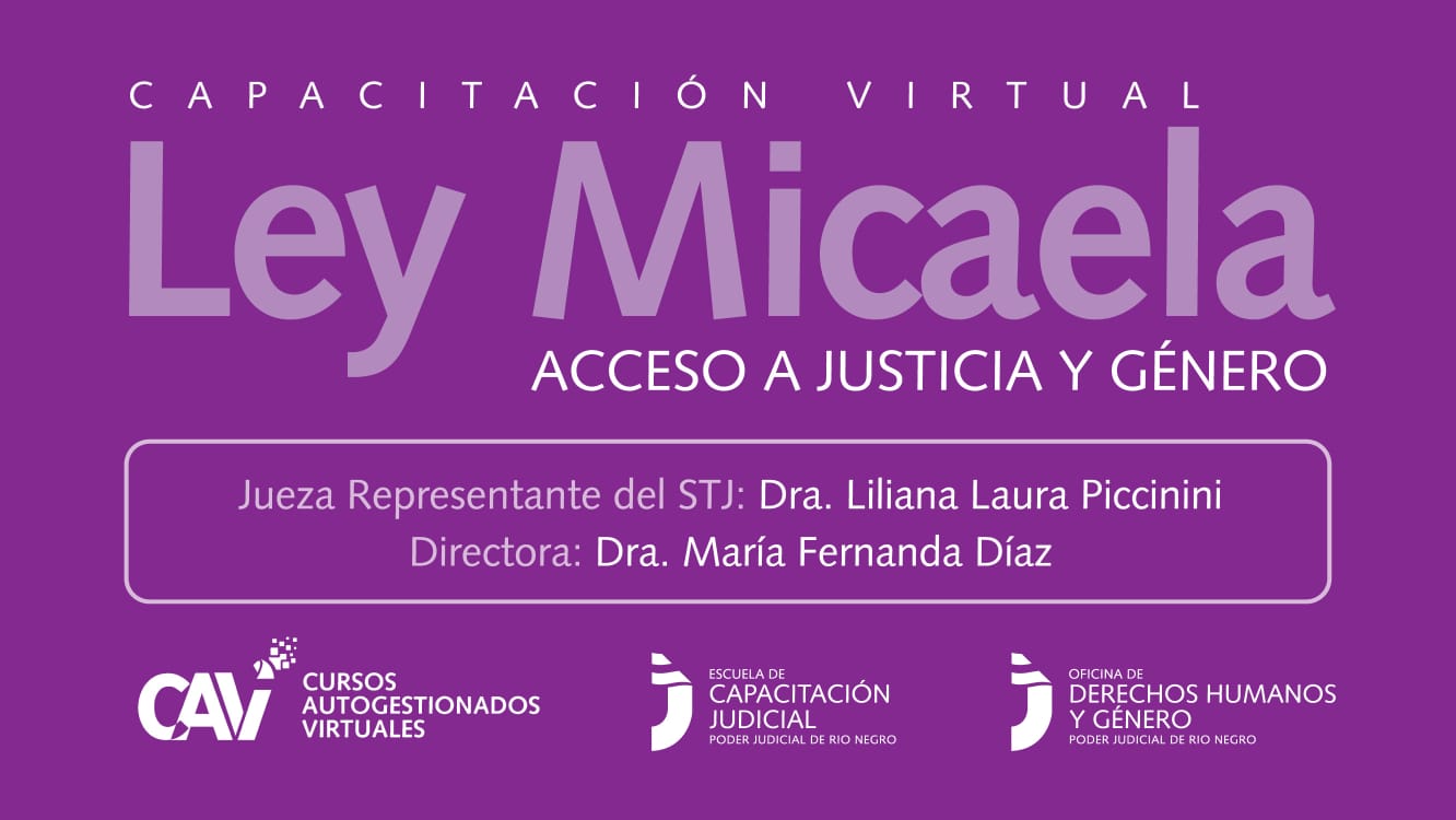 Ley Micaela: el Poder Judicial de Río Negro diseñó su propia plataforma virtual para continuar capacitándose