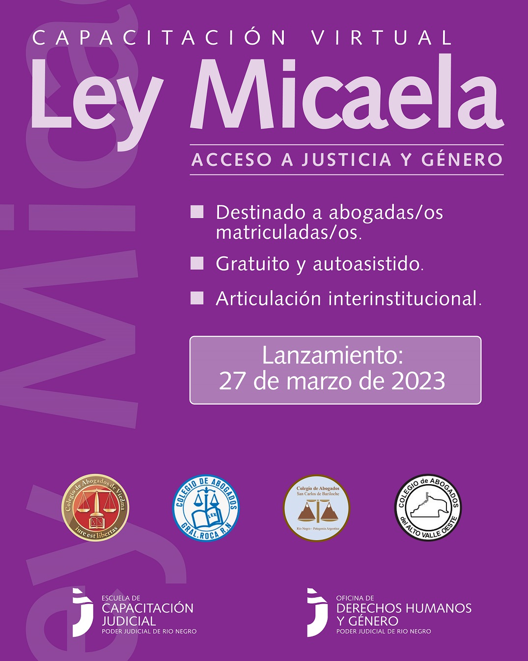 Ley Micaela: el Poder Judicial capacitará a los Colegios de abogadas y abogados rionegrinos
