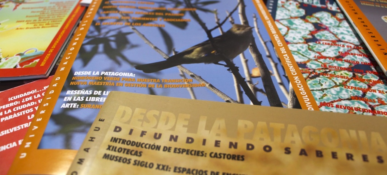 20 años de la revista Desde la Patagonia, Difundiendo Saberes