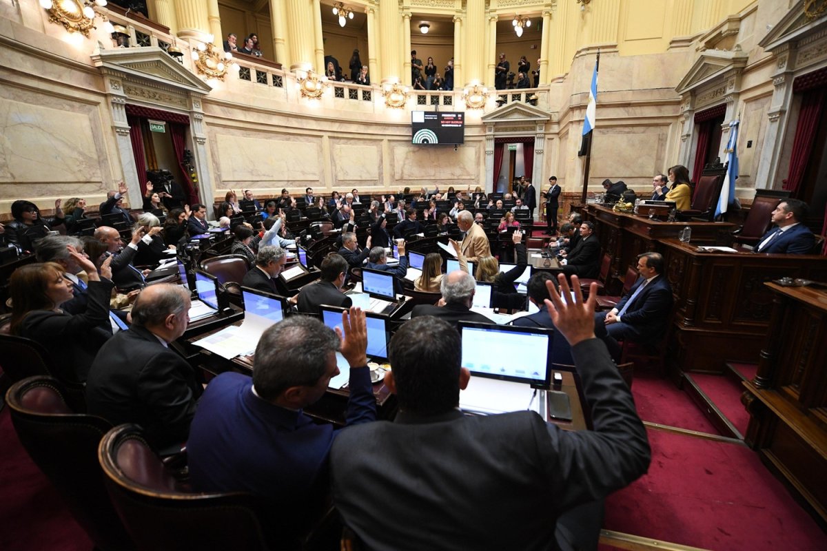 (((video))) El Senado aprobó la Ley de Financiamiento Universitario y la Emergencia en pediatría