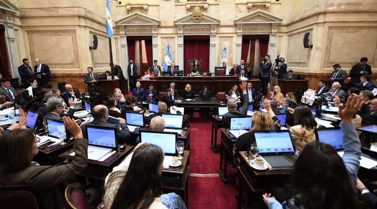 (((video))) El Senado le dio la espalda a Milei y rechazó los vetos a la salud pediátrica y la universidad