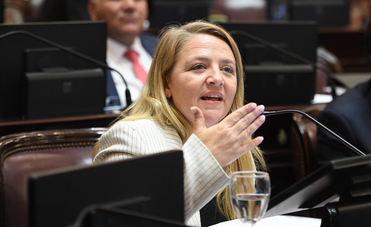 (((video))) Senadora Ana Marks: el Presupuesto 2026 destruye el Federalismo y empobrece al pueblo
