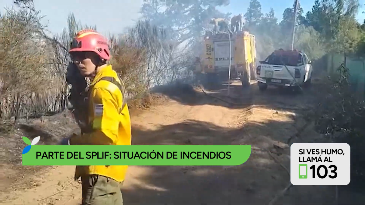 (((video))) SPLIF: alertan por incendios evitables en contexto de riesgo extremo