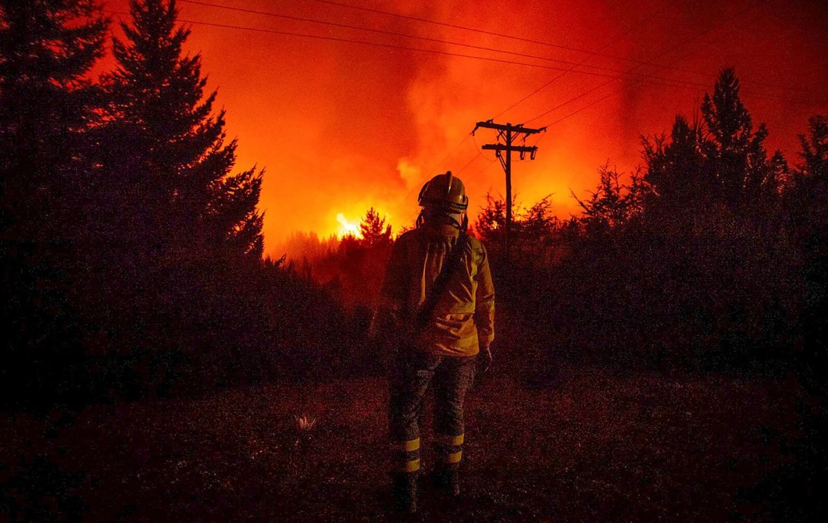 Patagonia en llamas: Greenpeace reclama a los gobiernos acciones firmes para combatir los incendios