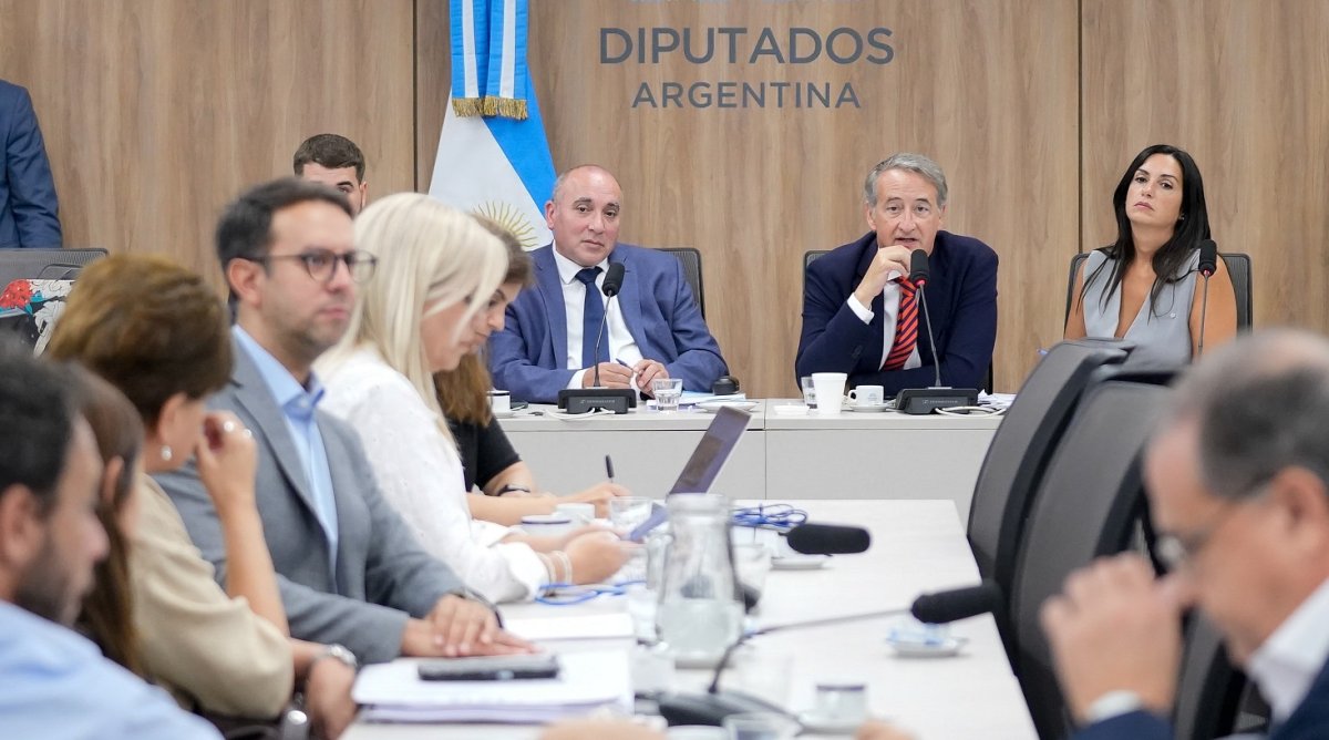 (((video))) Diputados realizará audiencias públicas para debatir la modificación a la Ley de Glaciares