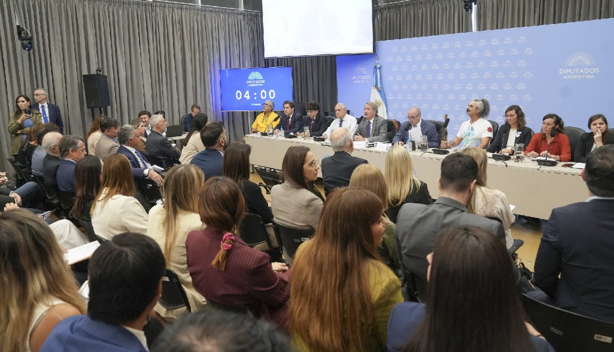 (((video))) Polémica en la Audiencia sobre la Ley de Glaciares por restricciones a la participación